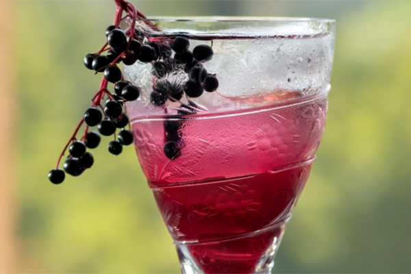 Elderberry Ginger Fizz Mocktail, Anyone?