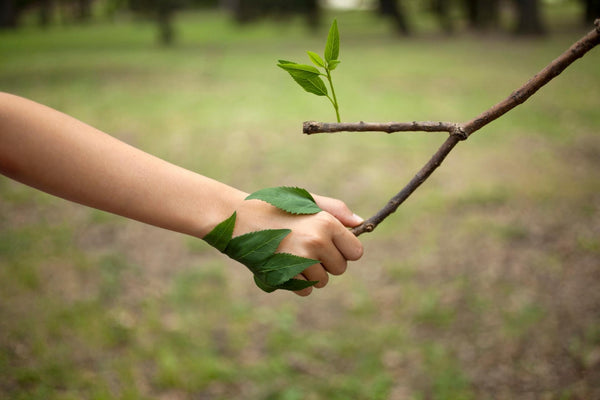 5 Sustainable Goals for 2022