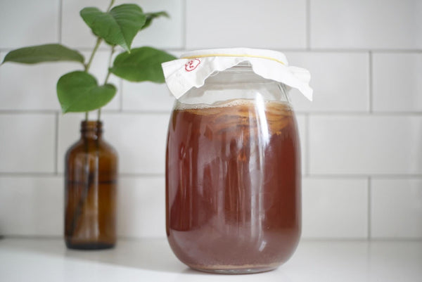 Your Next Kitchen Adventure: Kombucha!
