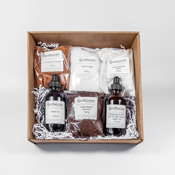 houseplants gift box set