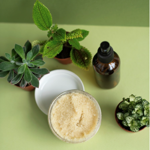Scrub + Mist + Houseplant Potted Arrangement with PLANT!