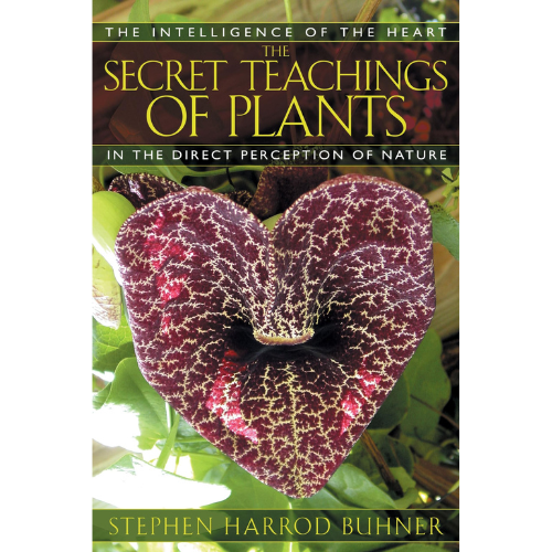 Secret Teachings of Plants by Stephen Harrod Buhner