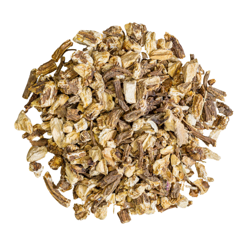 angelica root