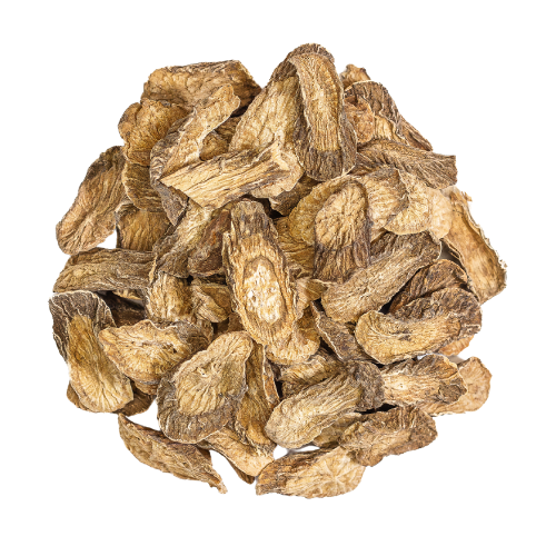 burdock root