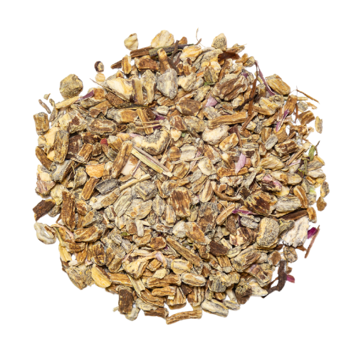 echinacea root