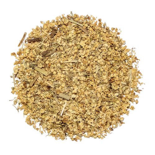 elderflower sambucus