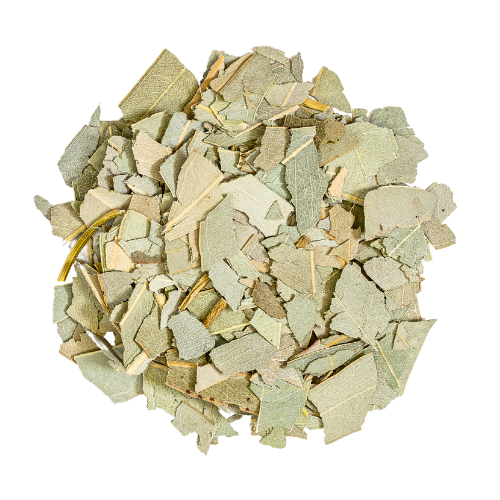 eucalyptus
