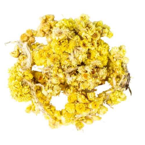 helichrysum
