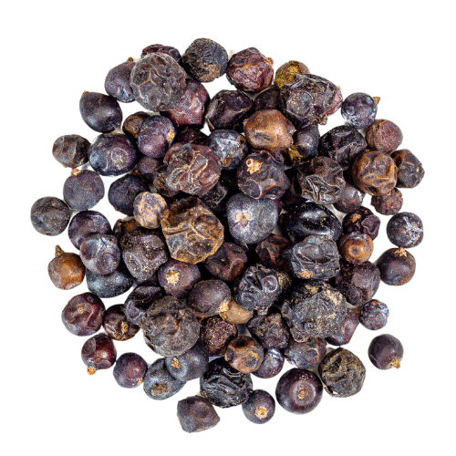 juniper berries