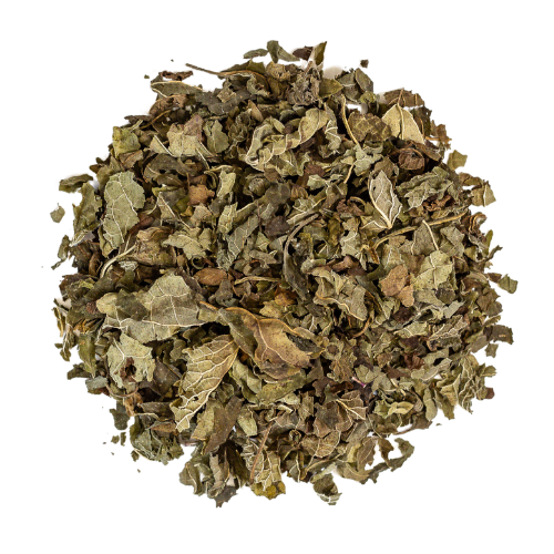 lemon balm