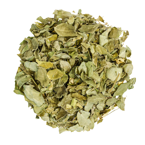 moringa leaf