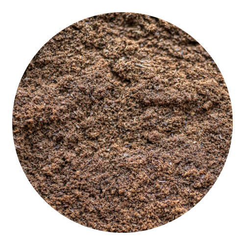 clove powder