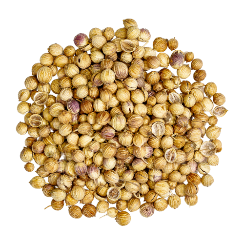 coriander seed