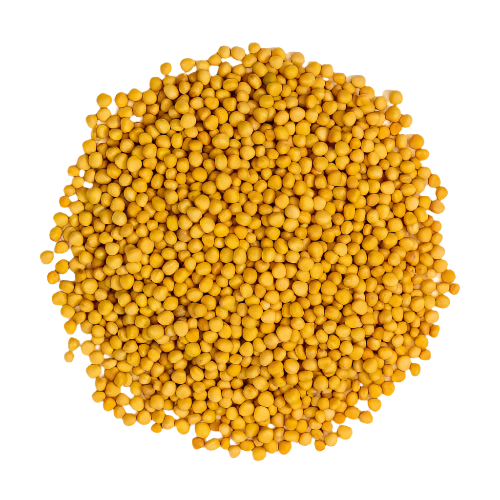 mustard seed