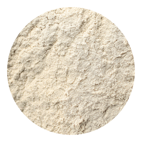  onion powder