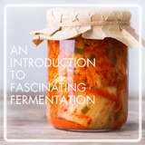 An Introduction to Fascinating Fermentation