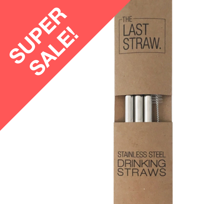 The Last Straw - 3 Silver Smoothie Straws with Brush