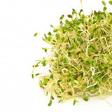 Mumm's Sprouting Seeds - Sandwich Booster