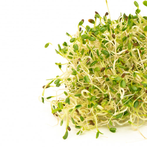Mumm's Sprouting Seeds - Sandwich Booster