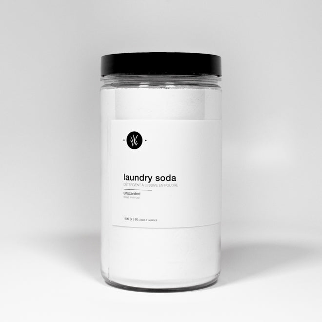 Laundry Soda by All Things Jill