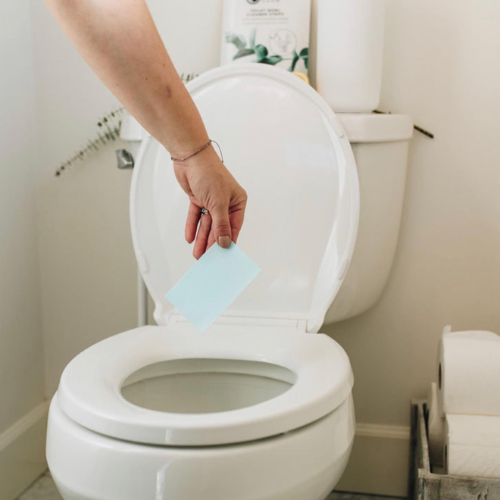 Eco Living Club Toilet Bowl Cleaner Strips