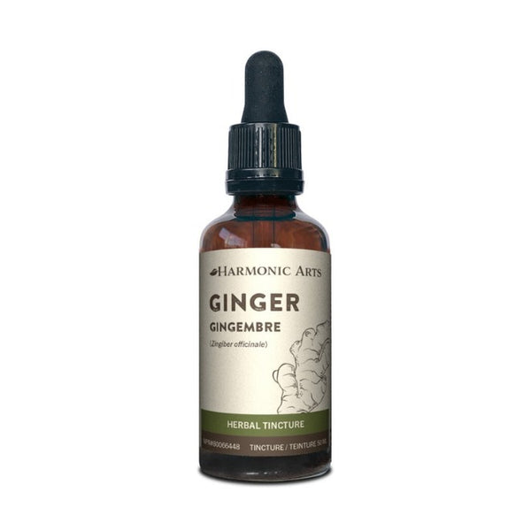 Harmonic Arts - Ginger Root Tincture