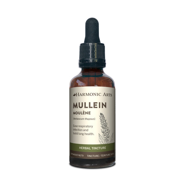 Harmonic Arts - Mullein Tincture