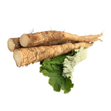 Burdock Root