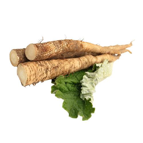 Burdock Root