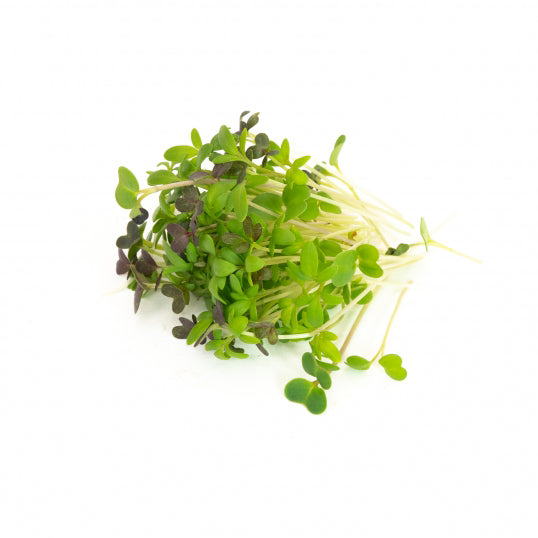 Mumm's Sprouting Seeds - Spicy Microgreen Mix